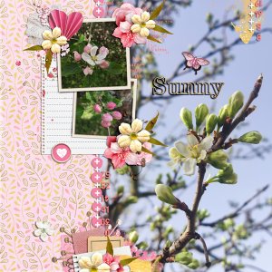 suny spring morning
