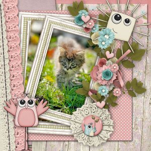 my kitty Festus