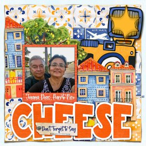 Don't Forget to Say Cheese