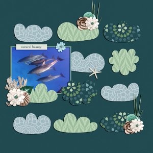 natural beauties under the sea