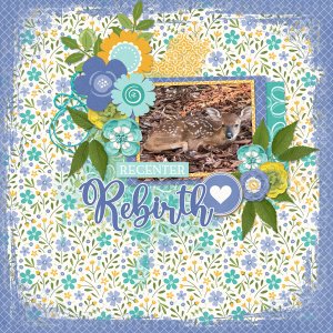 Rebirth