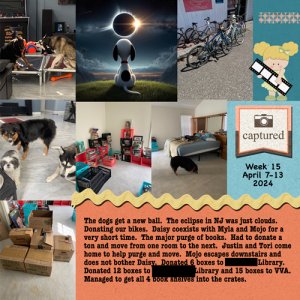 2024 Week 15