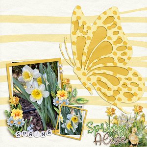 Spring