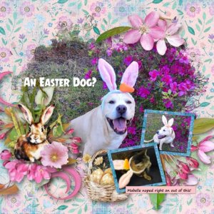 An Easter Dog?