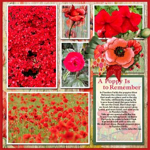 A Poppy is to Remember