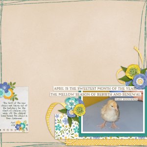 Chick