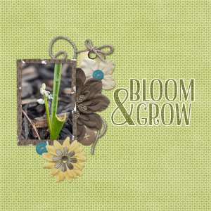 Bloom and Grow