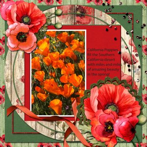 Pretty Poppies
