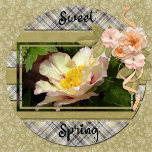 Sweet Spring