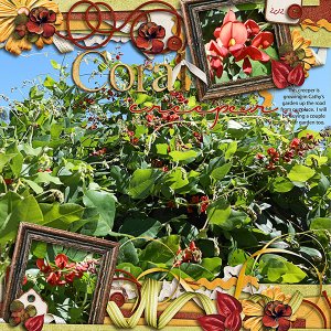 Coral Creeper