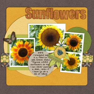 A Sunflower For Frannie