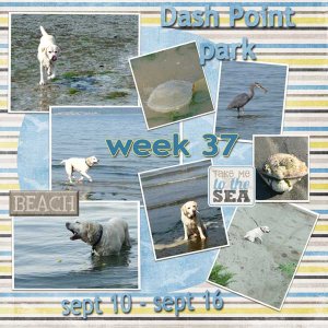 2012-week-37
