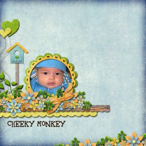 Cheeky Monkey