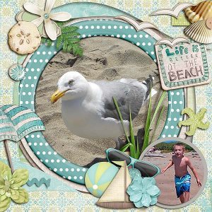 Beach