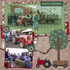 Apple Orchard Field Trip