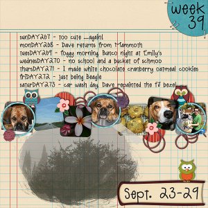 2012 - Week 39