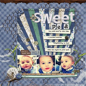Sweet Pea