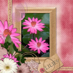 Lilies