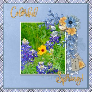 Colorful Spring