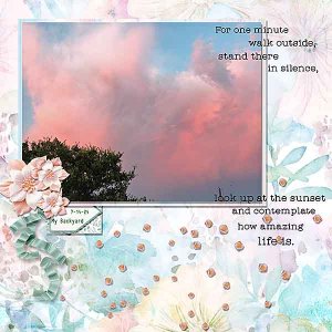 GS-UIACh424-BackyardSunset71421