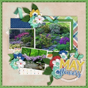 May-Flowers9