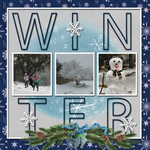 FOUR SEASONS - WINTER