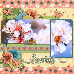 Spring