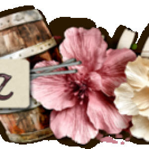 Signature_Challenge_web