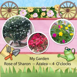 Summer Flowers