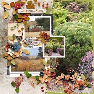 Awesome Autumn