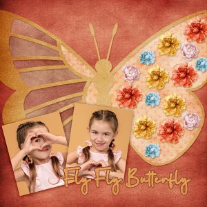 Fly Butterfly