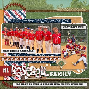 #1 Baseball Family