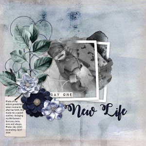 New Life