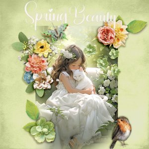 Spring-beauty3