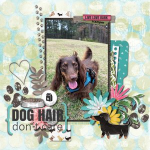 Dog Hair Don't Care
