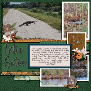 Later Gator
