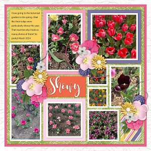 Showy