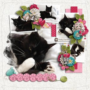 Bootsie