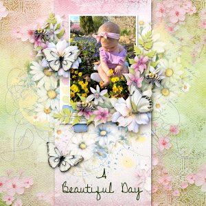 A Beautiful Day