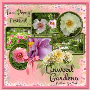 Linwood Gardens - Tree Peony Festival
