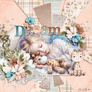 FD_dream