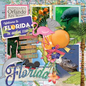 Florida Memories