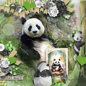 Mr. Panda