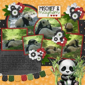 Cute Critters Pandas with Pics Galore Temps 40 #4-Connie Prince