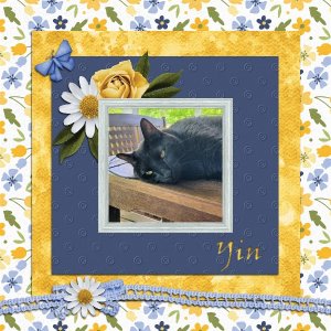 May Mini Kit Miss Yin