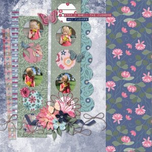 May Flowers
