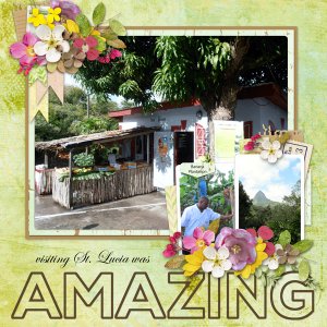 Amazing St. Lucia