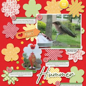 Hummer