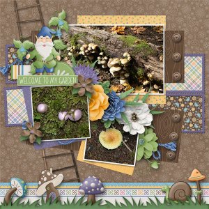 Welcome to My Garden