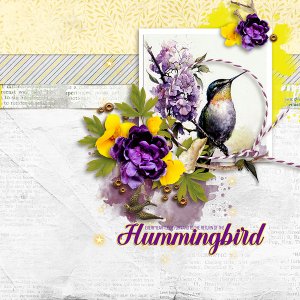 Hummingbird